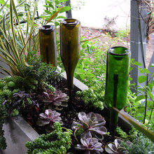 Bottles With Lights In