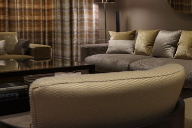 Inspiration for a contemporary living room in Other.