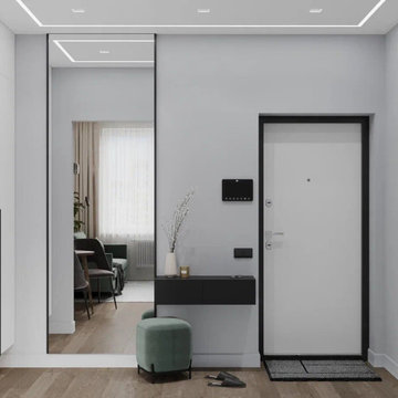 Однокомнатная квартира в современном минималистичном стиле