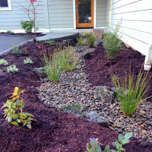 Bioswale