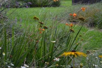 Inspiration for a medium sized partial sun garden for summer in Lille.