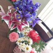 Tabetha Lockhart's photo