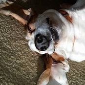 Donna Carter Odom's photo