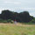 michellewall360