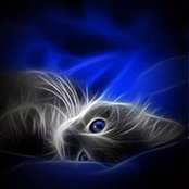 Breanne Bryntwick's photo
