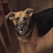 Amanda Wain's photo