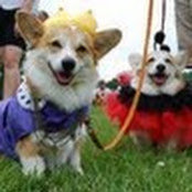 Deanna Morelli's photo