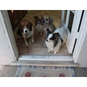 Deb DeGeorge's photo