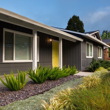 Modern Dry Garden