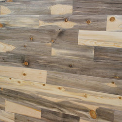 Beetle Kill pine - Wall Decor