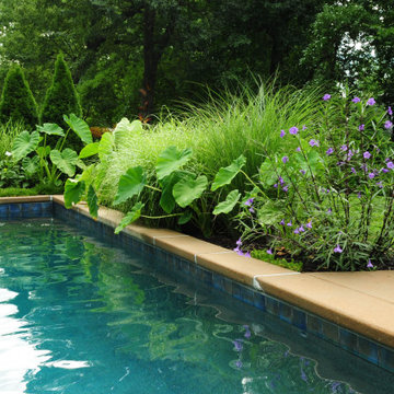 Pool flower bed by Oxygène