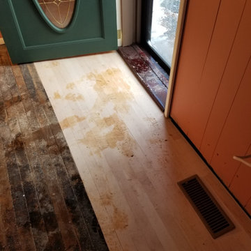 termite damage hardwood floor repair