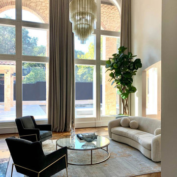 Fiddle Leaf Fig