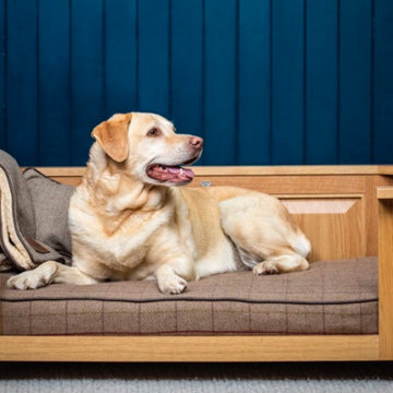 The Fraser | Large | Dog Bed