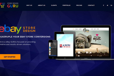 Store Design Guru Website