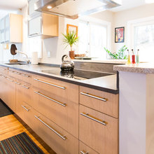 austin- cabinet pulls
