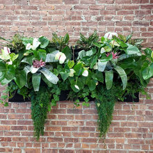 Biophilic Design