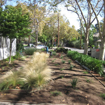 Newly Planted Garden Area and Irrigation