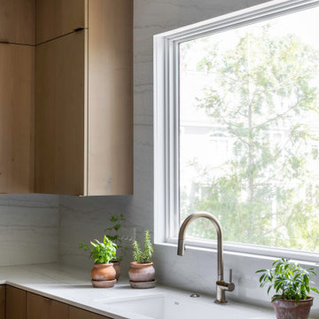 Vienna Contemporary Kitchen