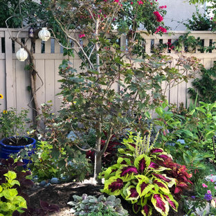 Kleiner Stilmix Vorgarten mit Gehweg in Orange County