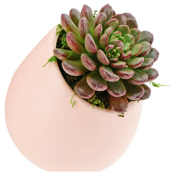 Small Round Wall Planter, Coral