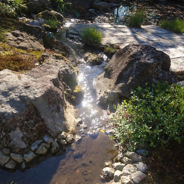 湧水から小川へ・・・水景の庭