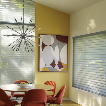 Window Sheers and Shadings