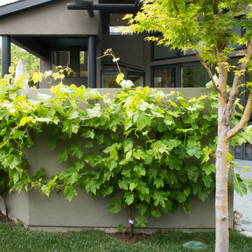 Gamble Garden Spring Tour 2014: 405 Lincoln