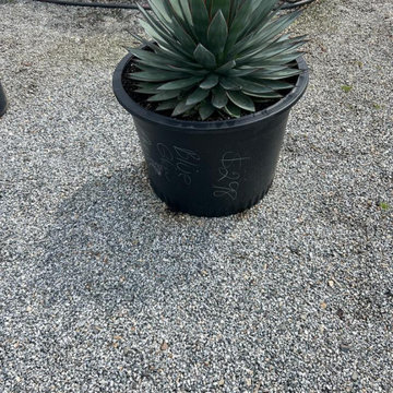 Mendez Landscaping Llc 2