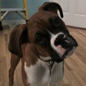 Sue Hunyady's photo