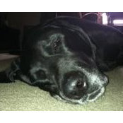 Kyle Andrews's photo