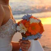 Foto von Emily White