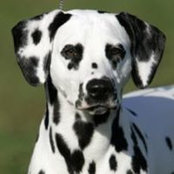 Cathy Sadler's photo