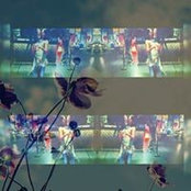 Anima Mundi's photo
