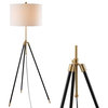 Lucius Adjustable Metal LED Floor Lamp, Black, Brass, 67"