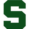 NCAA Michigan State Spartans College Logo Wallmarx Accent