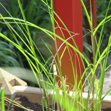 Aménagement et entretien d'un jardin