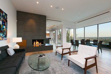 Modern Living Room with fireplace and city views