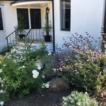 drought tolerant