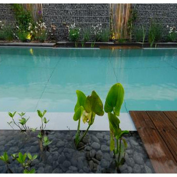 Wasser im Garten