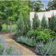 Backyard Gates /  Pergola Entrees