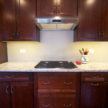 Des Plaines Kitchen Remodel