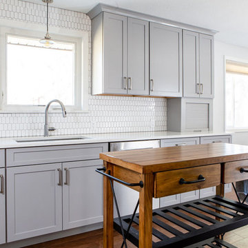 Dudley Street Kitchen Renovation