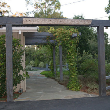 A country garden in Palo Alto