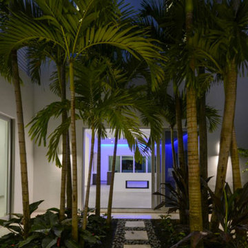 Poinciana Tropical Modern