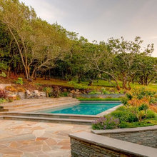Landscape Ideas
