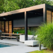 Pool & backyard