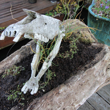 Gardening on a houseboat