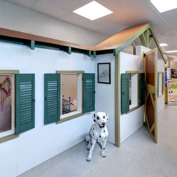 A Basement Wonderland