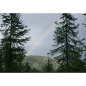 Elizabeth MacKenzie's photo